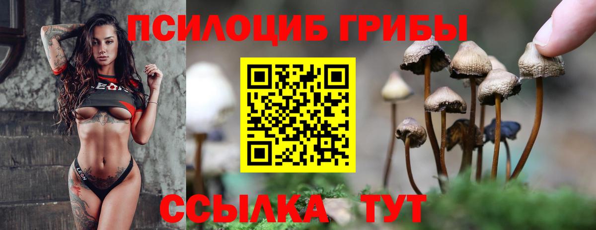 Набережные Челны  Галлюциногенные грибы прущие грибы  Вход с VPN 